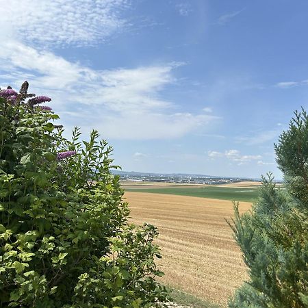 הוילה Cernay-les-Reims Le Charme מראה חיצוני תמונה